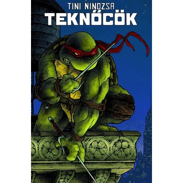 holdkelte-tini-nindzsa-teknocok-03